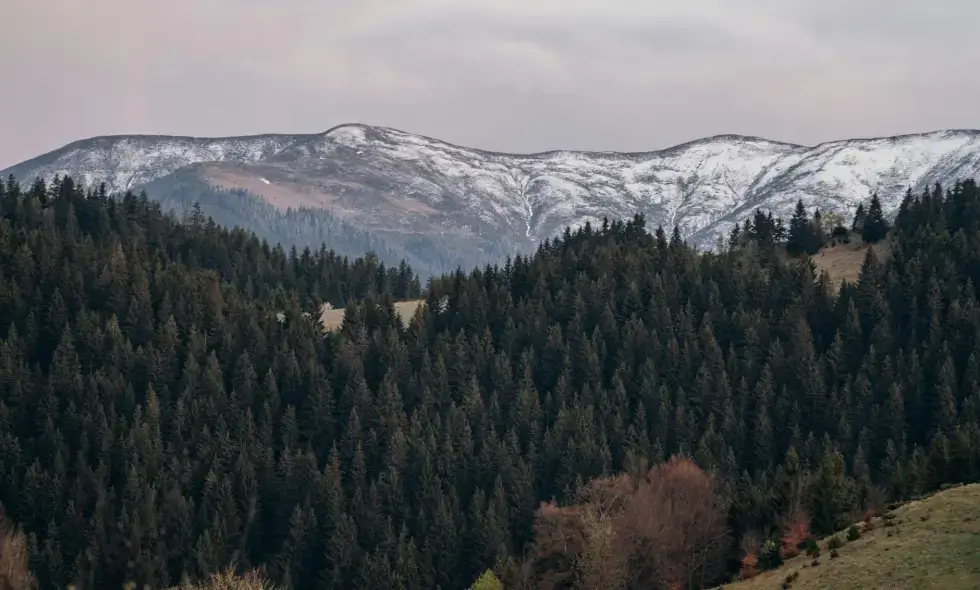 Kupnja rumunjske vinjete i savjeti za putovanje