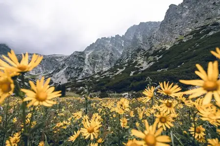 Slovak E-Vignette: The Road to Travel Opportunities