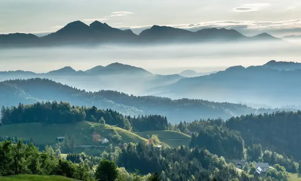 2024 Tolvignet kopen Slovenië
